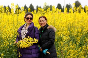 南部县首届菜花节开幕活动3