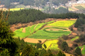 南部县首届菜花节开幕活动