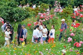 “正南昆杯”南部县首届微电影节“村韵炫彩”摄影优秀作品展