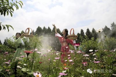 “‘微’观南部•绚彩端午” “正南昆杯”南部县首届微电影节活动开始啦！