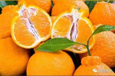 寺外桃源的橘子很甜，想给你一瓣