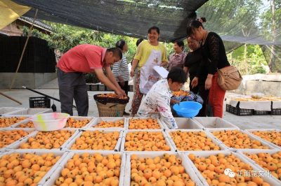 这才是我们值得庆祝的节日–“中国农民丰收节”