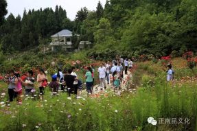 南部县首届微电影节开幕式精彩视频，怎容错过！