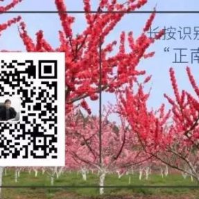 川北民间传统文化纪录片《川北旧事》第十七集 —《 打夯号子》