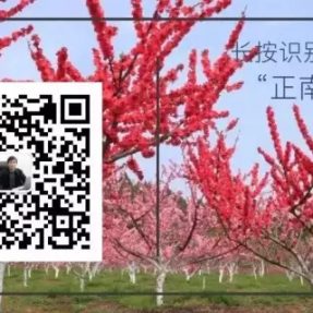 听听母亲河的声音 — 《西河流韵》主题曲