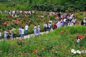 南部县寺外桃源旅游景区成功申报为南充市科普基地