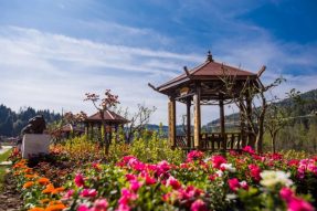 南部县伏虎镇正觉寺村：大力发展乡村旅游 拓宽群众增收路径【民生播报】