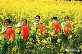 抗击疫情 拥抱春天，2020南部县西水镇网络油菜花文化节